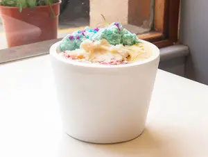 Helado 1/2 kg