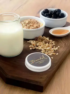 Yogur casero