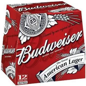 Cerveza Budweiser En Botella 12 x 355 ml