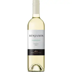 Vino Blanco Benjamin Chardonnay 750 ml
