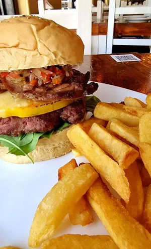 Hamb parrillera + fritas