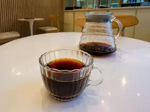 Método v60 1 taza