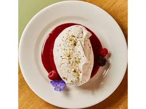 Pavlova Invertida