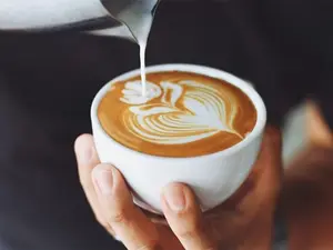 CAFE CORTADO 8 OZ
