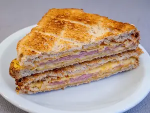 Tostado Pan Integral
