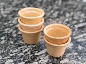 Vasos medianos por 5 Unidades