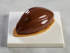 Haba de cacao