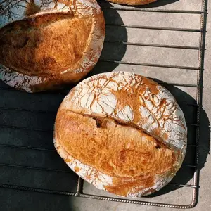 Pan de masa madre