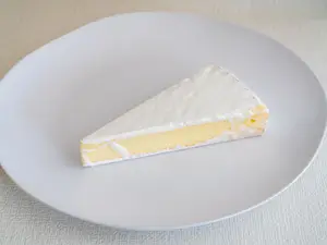 Queso Brie 100g