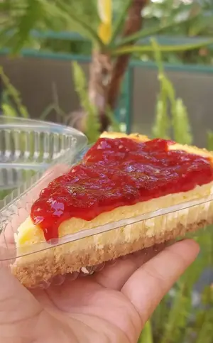 Cheesecake estilo americano