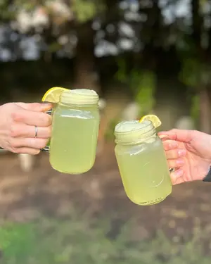Limonada menta y jengibre