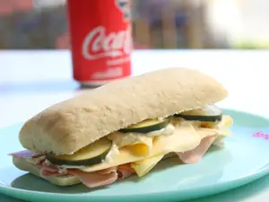 Panini wow jyq + pepino