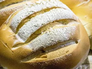 Pan De Campo