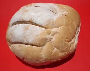 Pan de campo