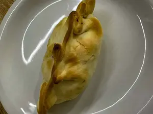 Pollo
