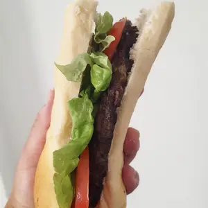 Sanguche De Seitan