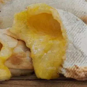 Empanada Calabaza muzzarella