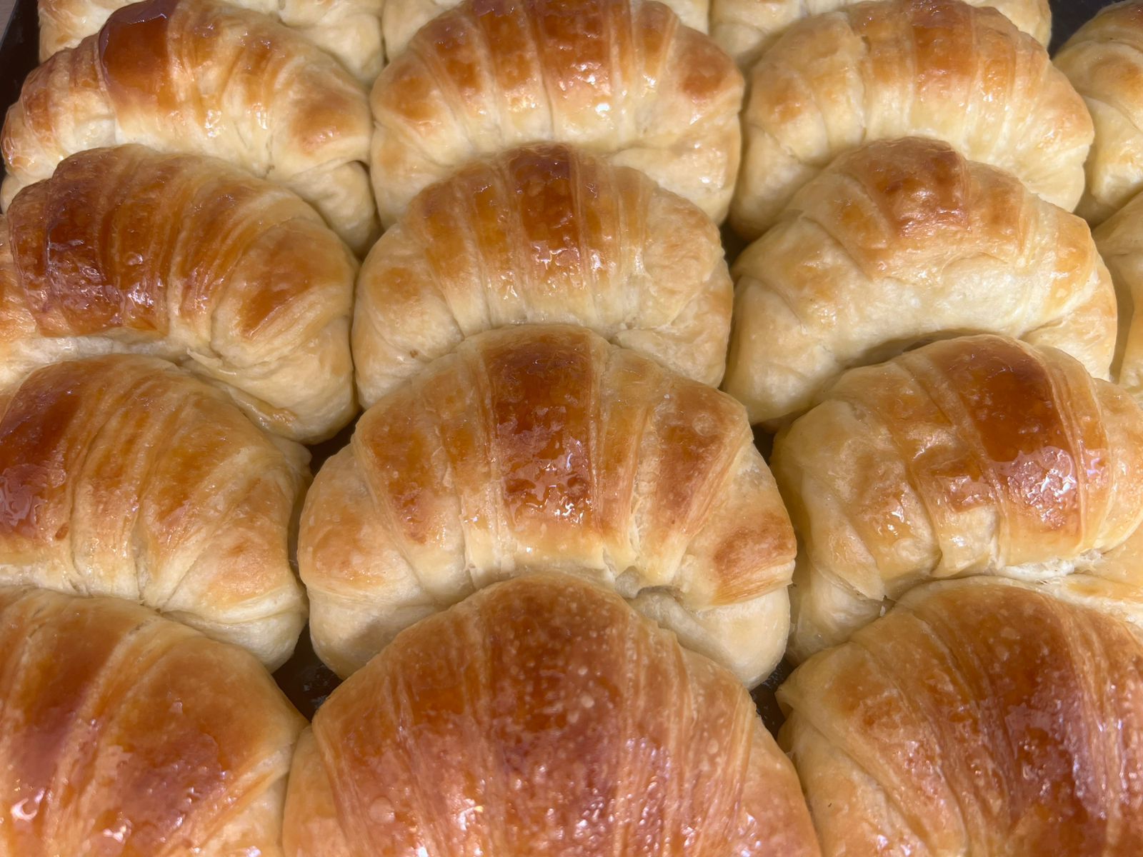 Panadería