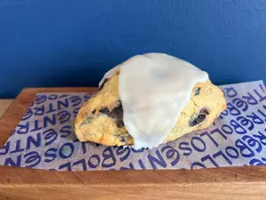 SCON DE ARÁNDANOS