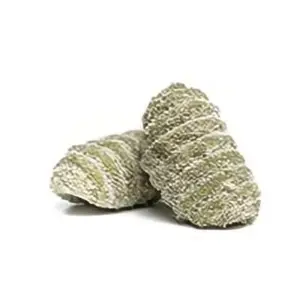 Ñoquis Verdes  (1/2 Kg)