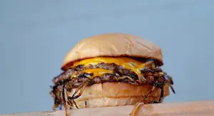 Onion Doble