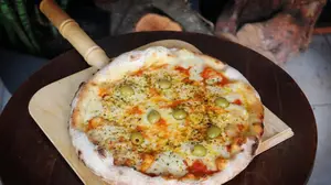 Provolone