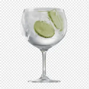 2x1 GIN TONIC