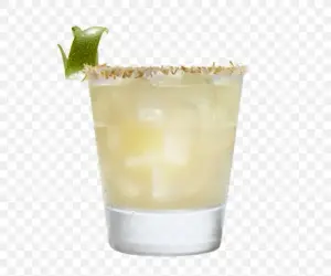 PALOMA TEQUILERA