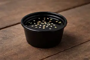Premium Teriyaki Sauce