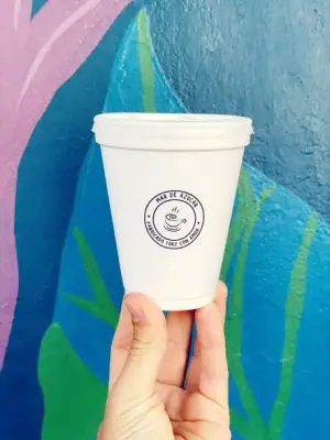 SOPA DE 300cc