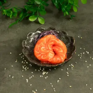 Sashimi Salmón x5