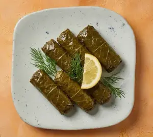 SARMA FRIO