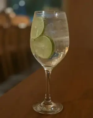 Gin Tonic Clásico