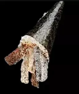 TEMAKI SKIN