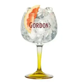 Gin Tonic