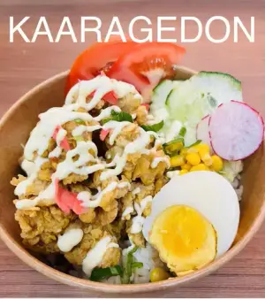 Karaage Don