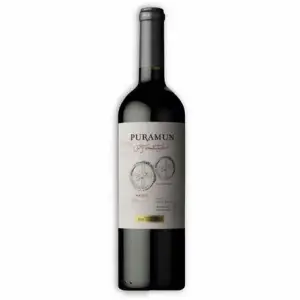 Paramun Co-Fermentado BLEND MLB