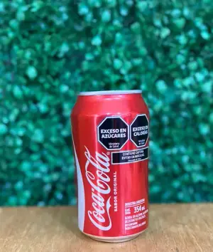 Coca-Cola 355 ml