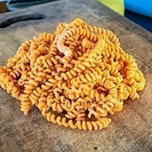 Fussilles Al Morron 500 g