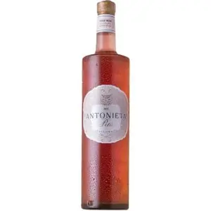 Vino Antonieta Falasco Rosé 750 ml
