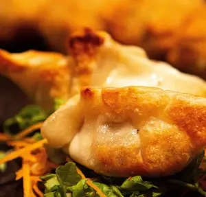 Gyoza De Cerdo X 2