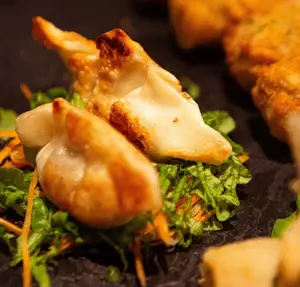Wantan De Salmón