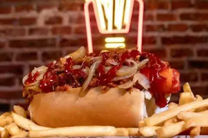 Dog pulledpork con papasfritas
