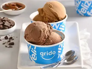 PROMO 2 Potes de Helado 1/4 Kg