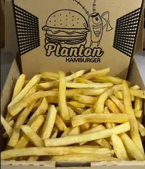Papas xl
