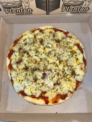 Pizza Muzzarella