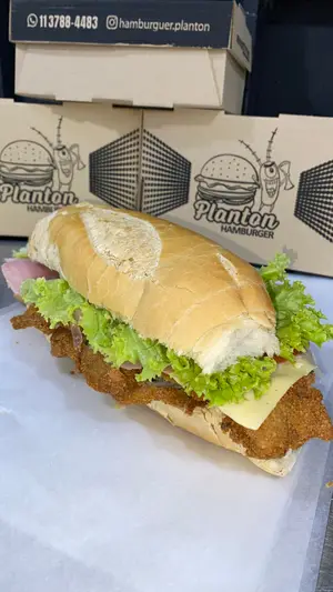 Sandwich De Milanesa Completo