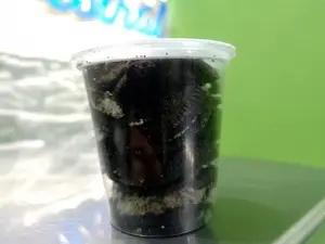 Pedazo De Oreo