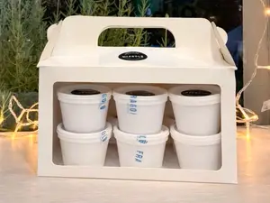 Caja de 12 tacitas