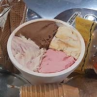 Heladeria Full Cream